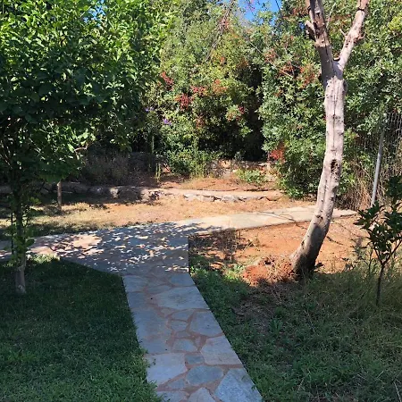 Frigano 6 * Neokhorion (Messenia)