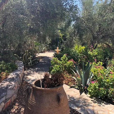 Frigano 6 * Neokhorion (Messenia)